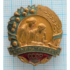 Нагрудный знак - Юный Натуралист СССР. ММД. Тяжелый