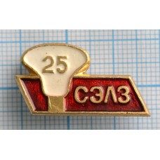 Значок СЭЛЗ 25 лет