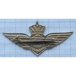 Знак Авиация KLM, Младшая стюардесса