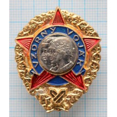 Нагрудный знак Отличный солдат, Чехословакия, Гайка