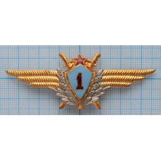 Нагрудный знак Авиация, Военный летчик 1 класс, Тяжелый, Заколка