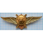 Нагрудный знак Авиация, Военный летчик-снайпер, Тяжелый, Гайка