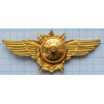 Нагрудный знак Авиация, Военный летчик-снайпер, Тяжелый, Гайка