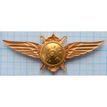 Нагрудный знак Авиация, Военный летчик 2 класс, Тяжелый, Гайка