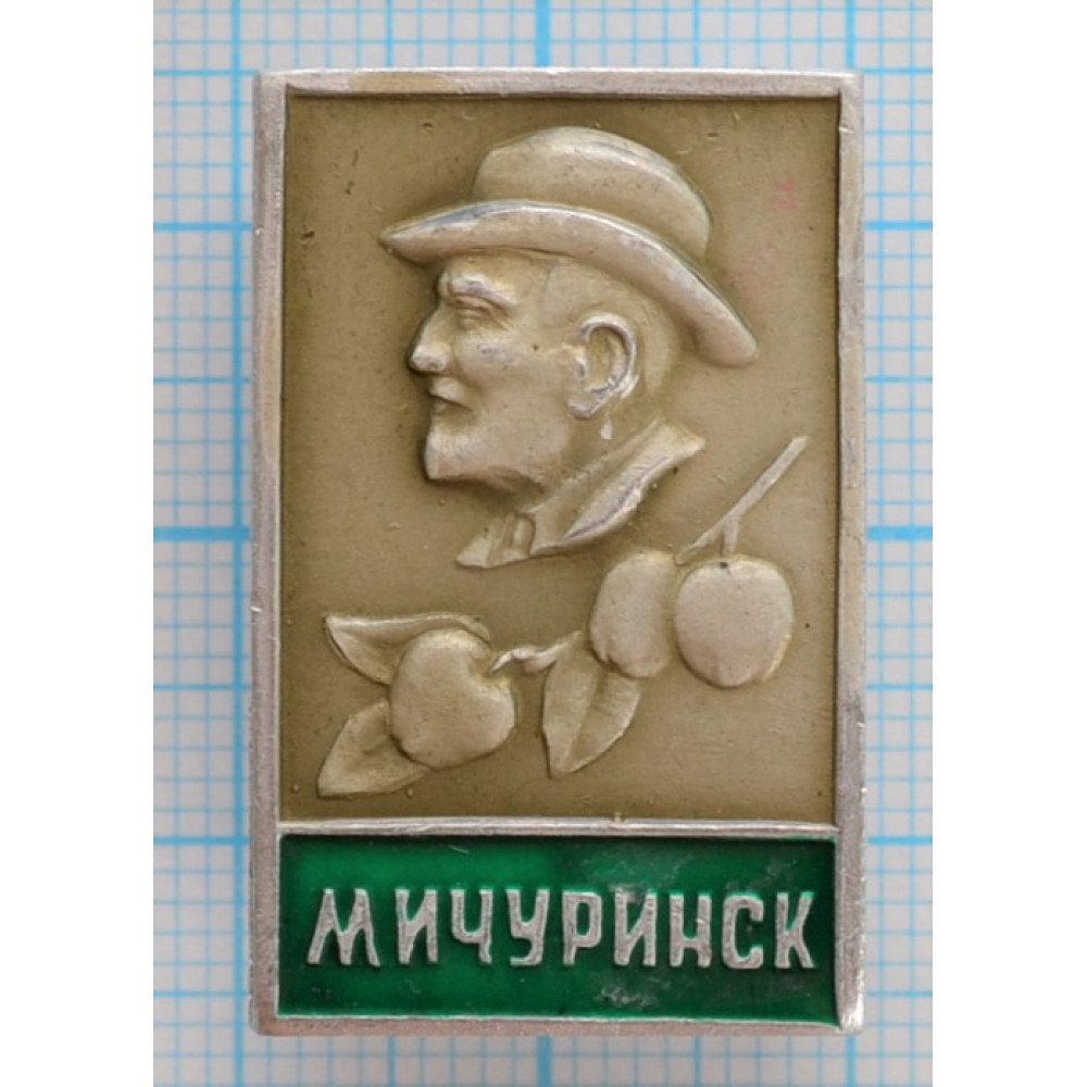 Значок Город Мичуринск