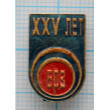 Знак нагрудный БОЗ, 25 лет, Тяжелый