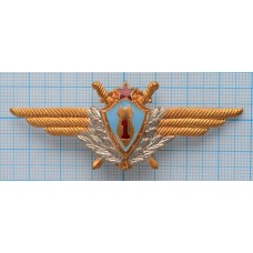 Нагрудный знак Авиация, Военный летчик-штурман 1 класс, Тяжелый, Заколка