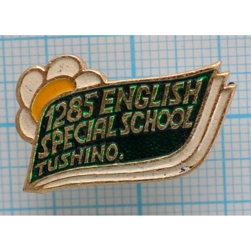 Значок Специальная школа английского языка в Тушино