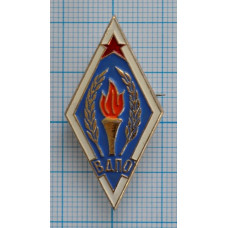 Значок - общества "Всероссийское добровольное пожарное общество", ВДПО
