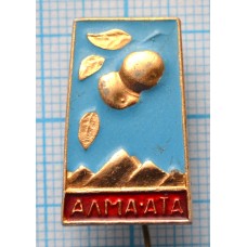 Значок Город Алма-Ата
