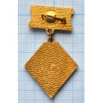 Значок Дружинник, 25 лет