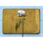 Значок Всесоюзная конференция Киев 1971, Латунь, Иголка