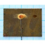 Значок Теплоэнергетика 25 лет, Латунь, Иголка