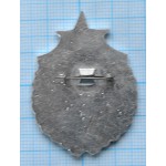 Нагрудный знак 