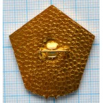 Нагрудный знак Общественный инспектор по безопасности полетов