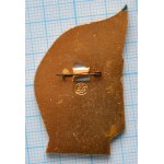 Нагрудный знак Военно-воздушная инженерная академия им. Н.Е. Жуковского, 50 лет, Орден Ленина