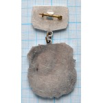 Нагрудный знак Военно-воздушная инженерная академия им. Н.Е. Жуковского, 60 лет