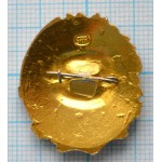 Нагрудный знак Юный Натуралист СССР, Легкий