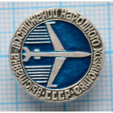 Значок ВДНХ СССР, Самолет