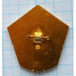 Нагрудный знак Общественный инспектор по безопасности полетов, ММД