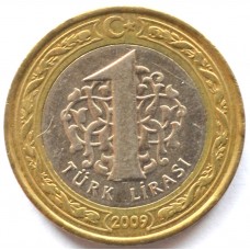 1 лира 2009 Турция - 1 lira 2009 Turkey, из оборота