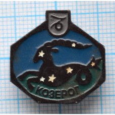 Значок Знак зодиака Козерог