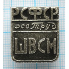 Значок ШВСМ ДСО Труд РСФСР, Школа высшего спортивного мастерства