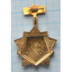 Знак Воин-спортсмен, Легкий, Заколка