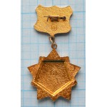 Знак Воин-спортсмен, Легкий, Заколка