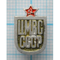 Значок ЧМВС, Центральный музей Вооружённых Сил СССР