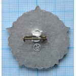 Нагрудный знак 