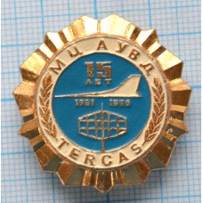 Значок МЦ АУВД 15 лет Tercas, Управление воздушным движением, Редкий