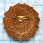 Значок МЦ АУВД 15 лет Tercas, Управление воздушным движением, Редкий