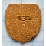 Значок За безопасность движения, Общественный контролер