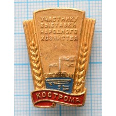 Значок Участнику выставки народного хозяйства, Кострома