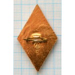 Нагрудный знак Государственная лесная охрана 10 лет