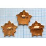 Набор значков Воин-спортсмен, Иголка