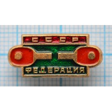 Значок Федерация Настольный Теннис