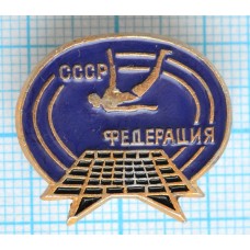 Значок Федерация прыжки на батуте