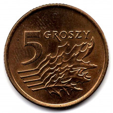 5 грошей 1992 Польша - 5 grosz 1992 Poland, из оборота