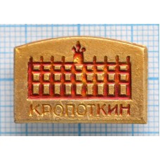 Значок Кропоткин