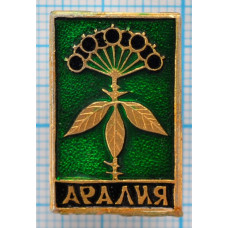 Значок Аралия, Растение