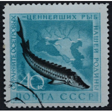 1959, июль. Почтовая марка СССР. Фауна СССР. Рыбы. Осетр. 40 копеек