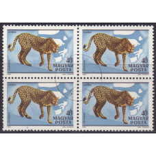 1981, март. Почтовая марка Венгрии (сцепка). Фауна Африки, 100 лет со дня рождения Кальмана Киттенбергера