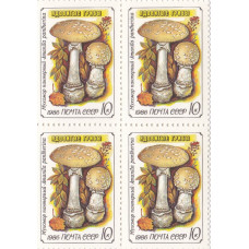 Квартблок СССР. Ядовитые грибы - Мухомор пантерный (Amanita pantherina). 10 копеек. 1986