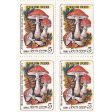 Квартблок СССР. Ядовитые грибы - Мухомор красный (Amanita muscaria). 5 копеек. 1986