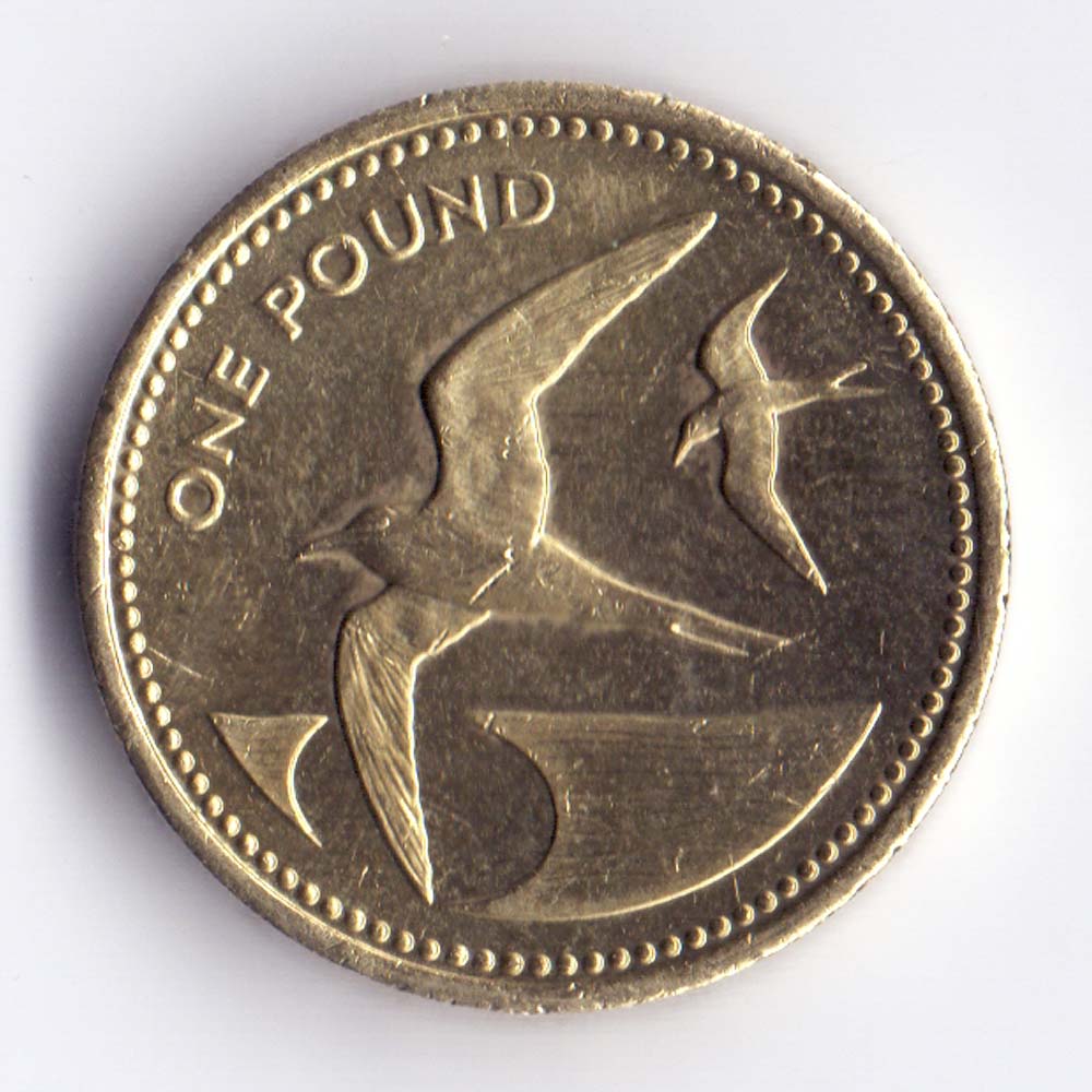 1 фунт 2006 Остров Святой Елены и острова Вознесения - 1 pound 2006 Saint Helena, Ascension
