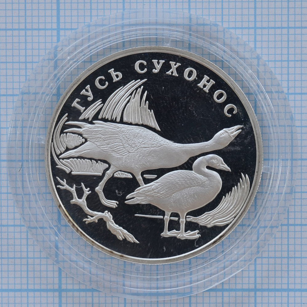 1 рубль 2006. Гусь сухонос