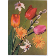 Открытка - Цветы. Букет, тюльпаны, нарциссы, верба. Германия