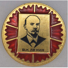 Нагрудный знак В.И. Ленин 